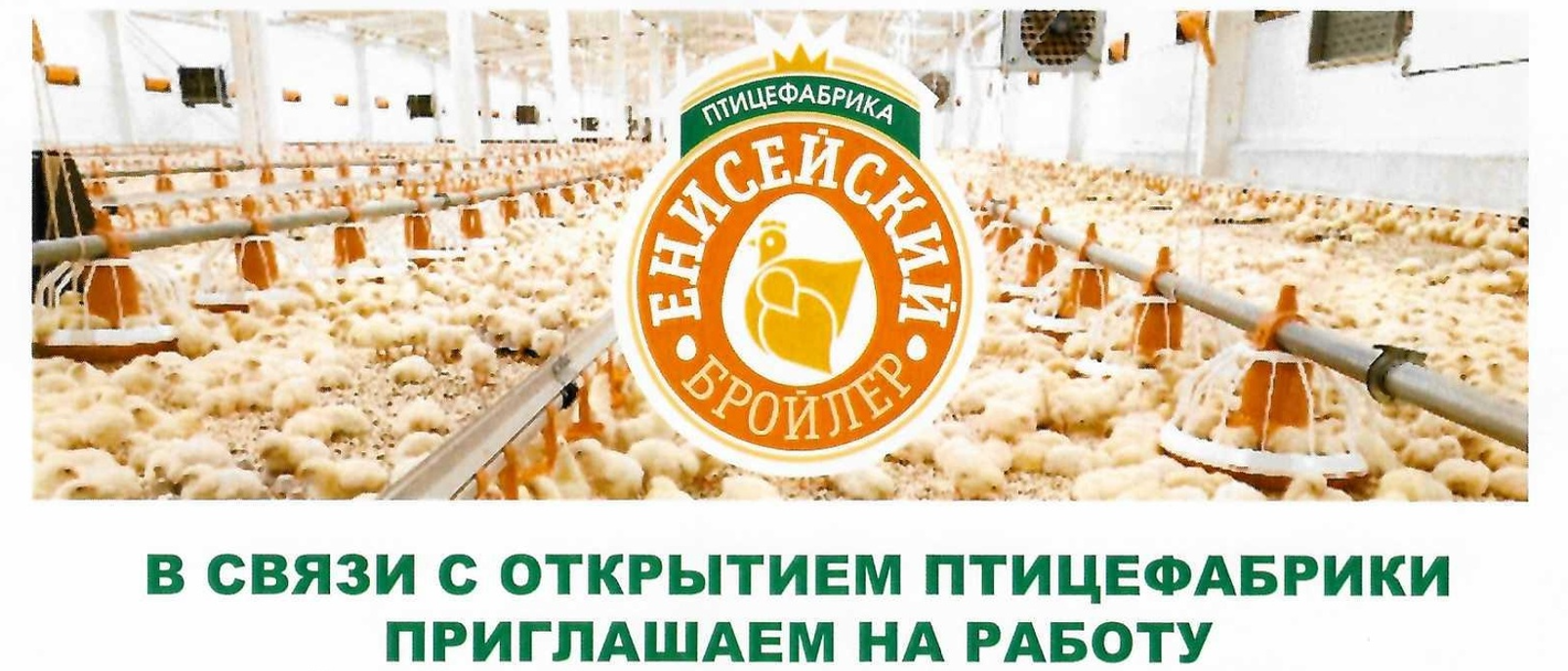 «Енисейский Бройлер» приглашает на работу в связи с открытием бройлерной птицефабрики в посёлке Первоманск..