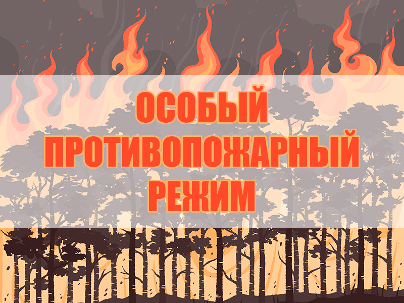 В Красноярском крае введен особый противопожарный режим.