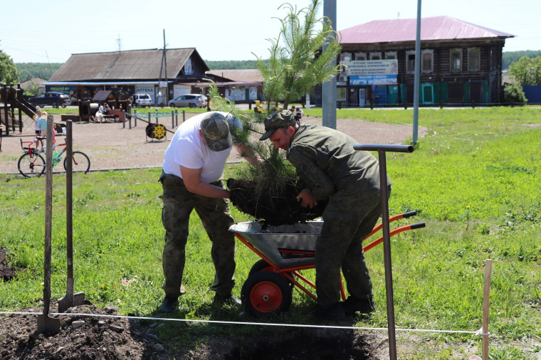 В честь Дня России озеленили центральную аллею. В честь Дня России озеленили центральную аллею.
