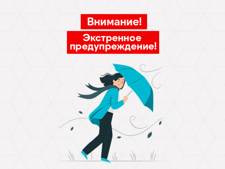 Экстренное предупреждение!. Экстренное предупреждение!.